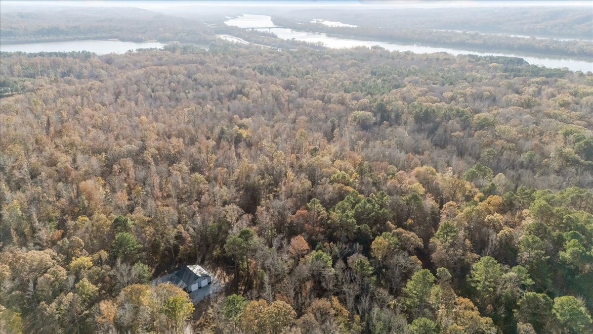 0 Cuba Landing Road Waverly, TN 37185 - Photo 9 of 22 a view of a forest with a street