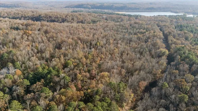 a sign on the side of the tree