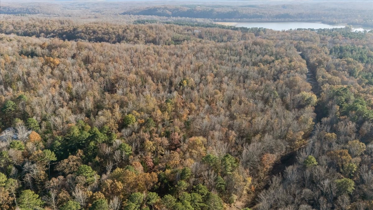 0 Cuba Landing Road Waverly, TN 37185 - Photo 10 of 22 a view of a field