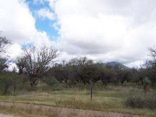 0 East Bell Road Benson, AZ 85602 - Photo 4 of 5