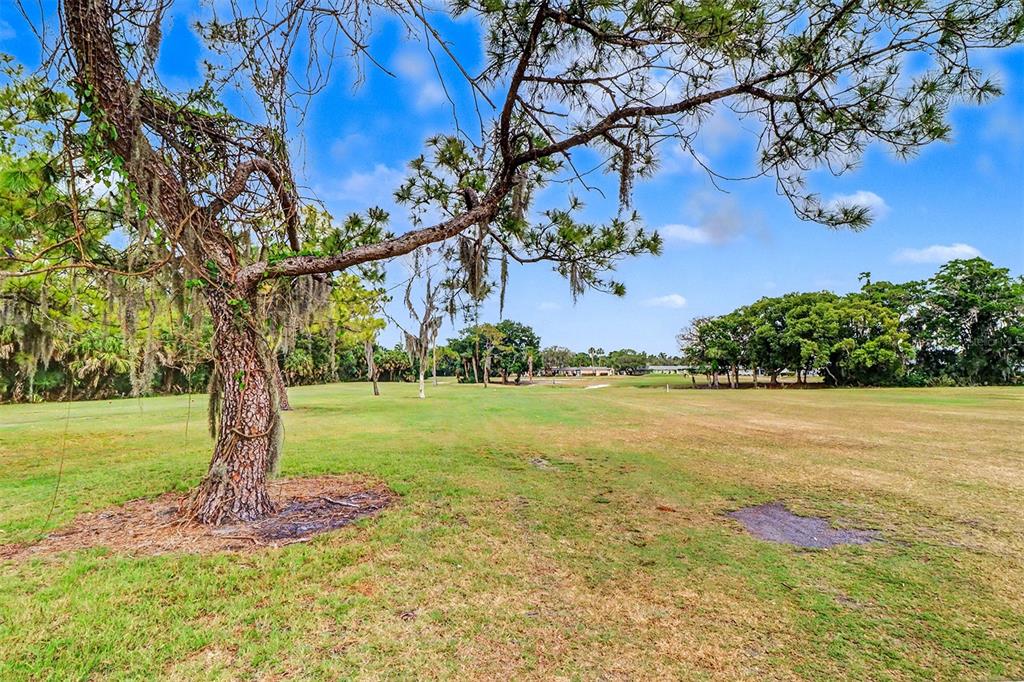 3661 Trophy Boulevard, Unit 3661 New Port Richey, FL 34655 - Photo 21 of 25 a view of a garden with an trees