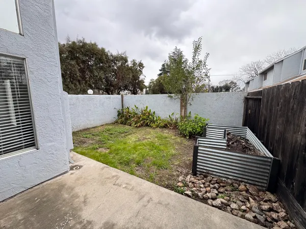 a view of a backyard