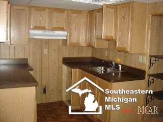 11111 Tuttle Hill Road Milan, MI 48160 - Photo 15 of 19 Basement kitchen