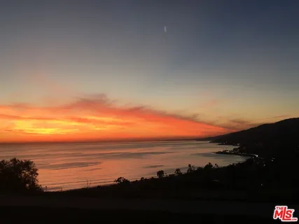 a living room with a table and a potted plant