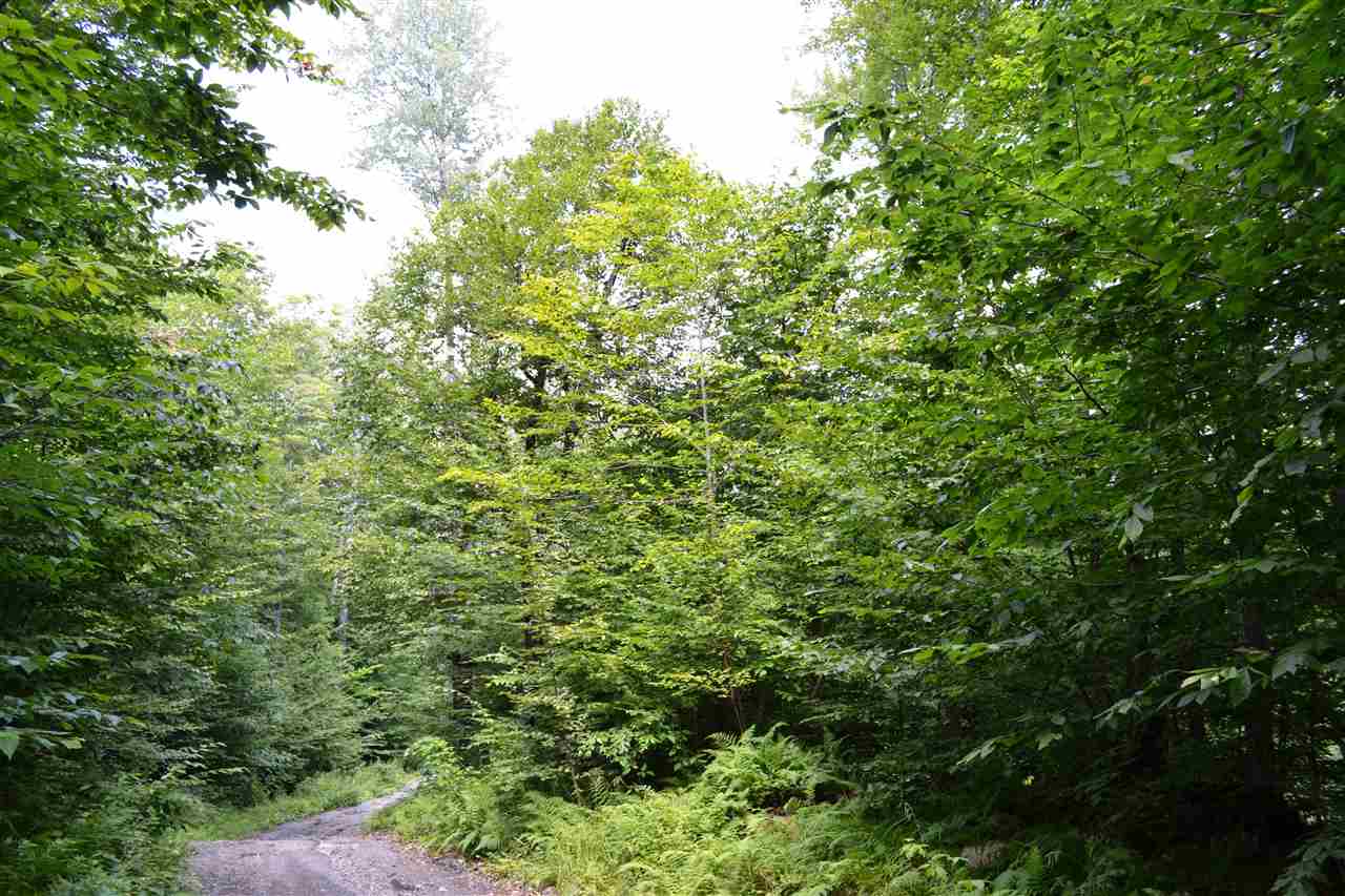 0 Anderson Road Grafton, VT 05146 - Photo 1 of 14