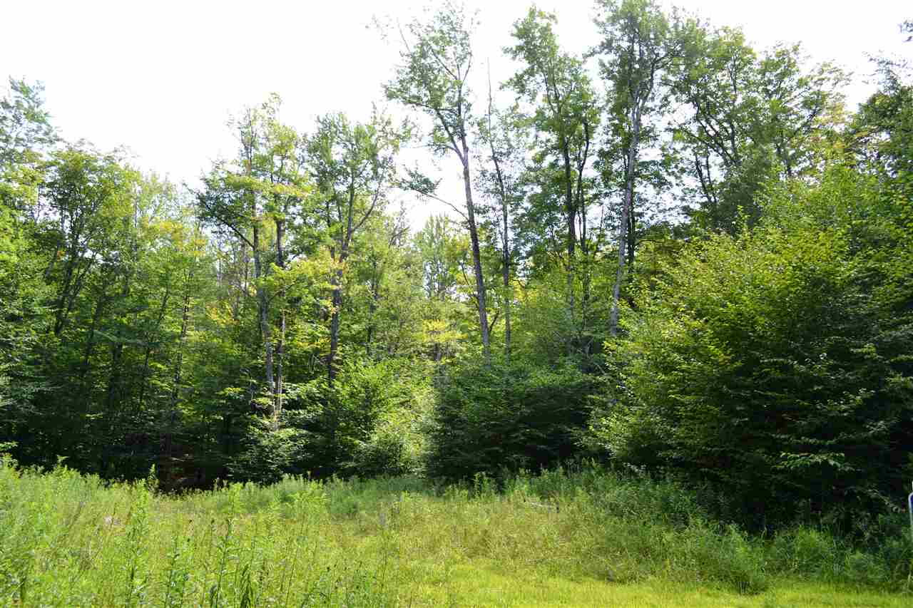 0 Anderson Road Grafton, VT 05146 - Photo 2 of 14