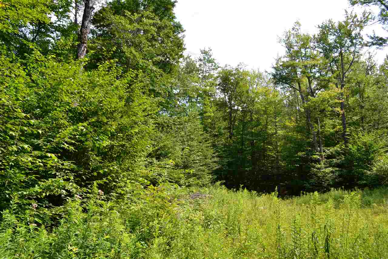 0 Anderson Road Grafton, VT 05146 - Photo 3 of 14