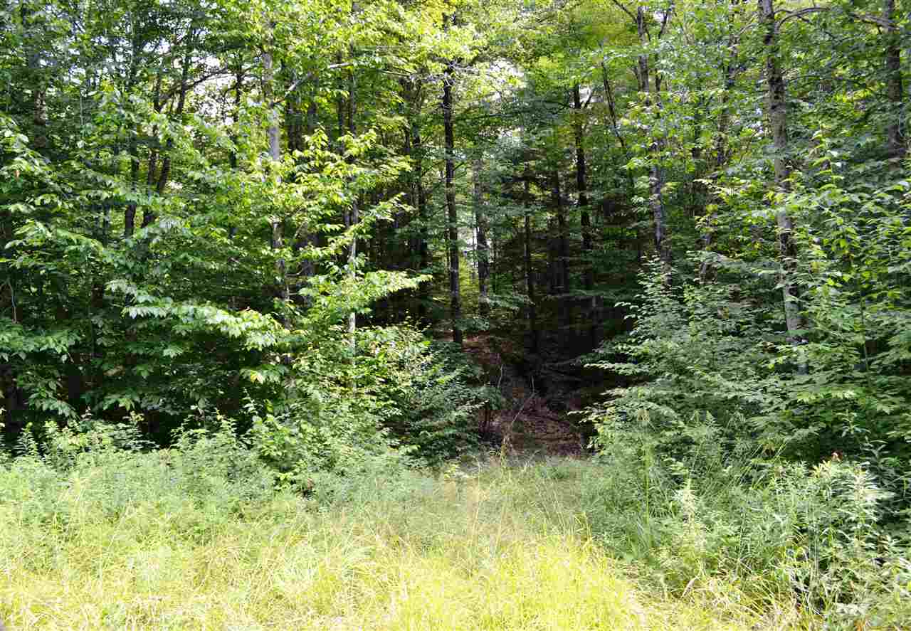 0 Anderson Road Grafton, VT 05146 - Photo 4 of 14