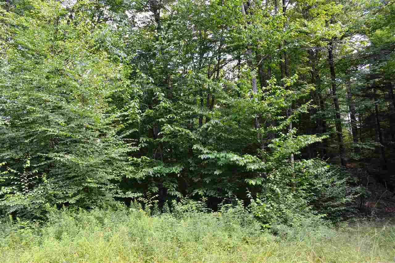 0 Anderson Road Grafton, VT 05146 - Photo 5 of 14