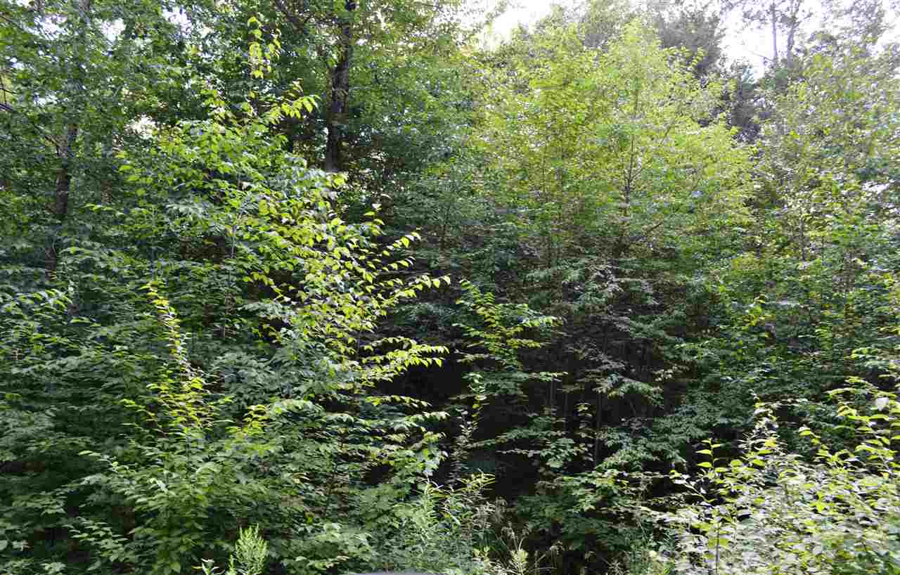 0 Anderson Road Grafton, VT 05146 - Photo 6 of 14