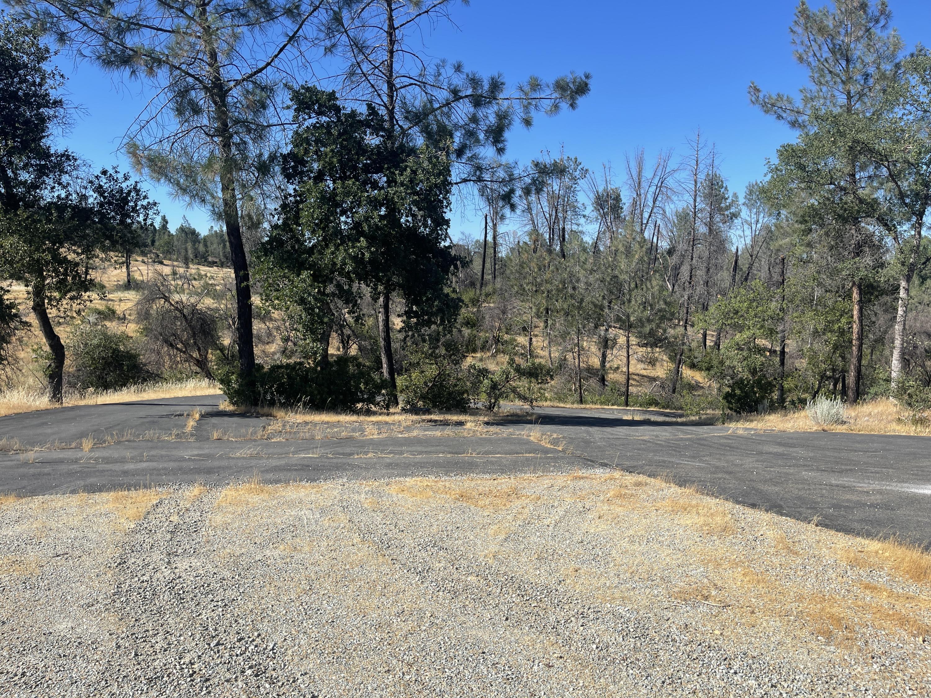 10170 Tilton Mine Road Redding, CA 96001 - Photo 1 of 11 IMG_5779