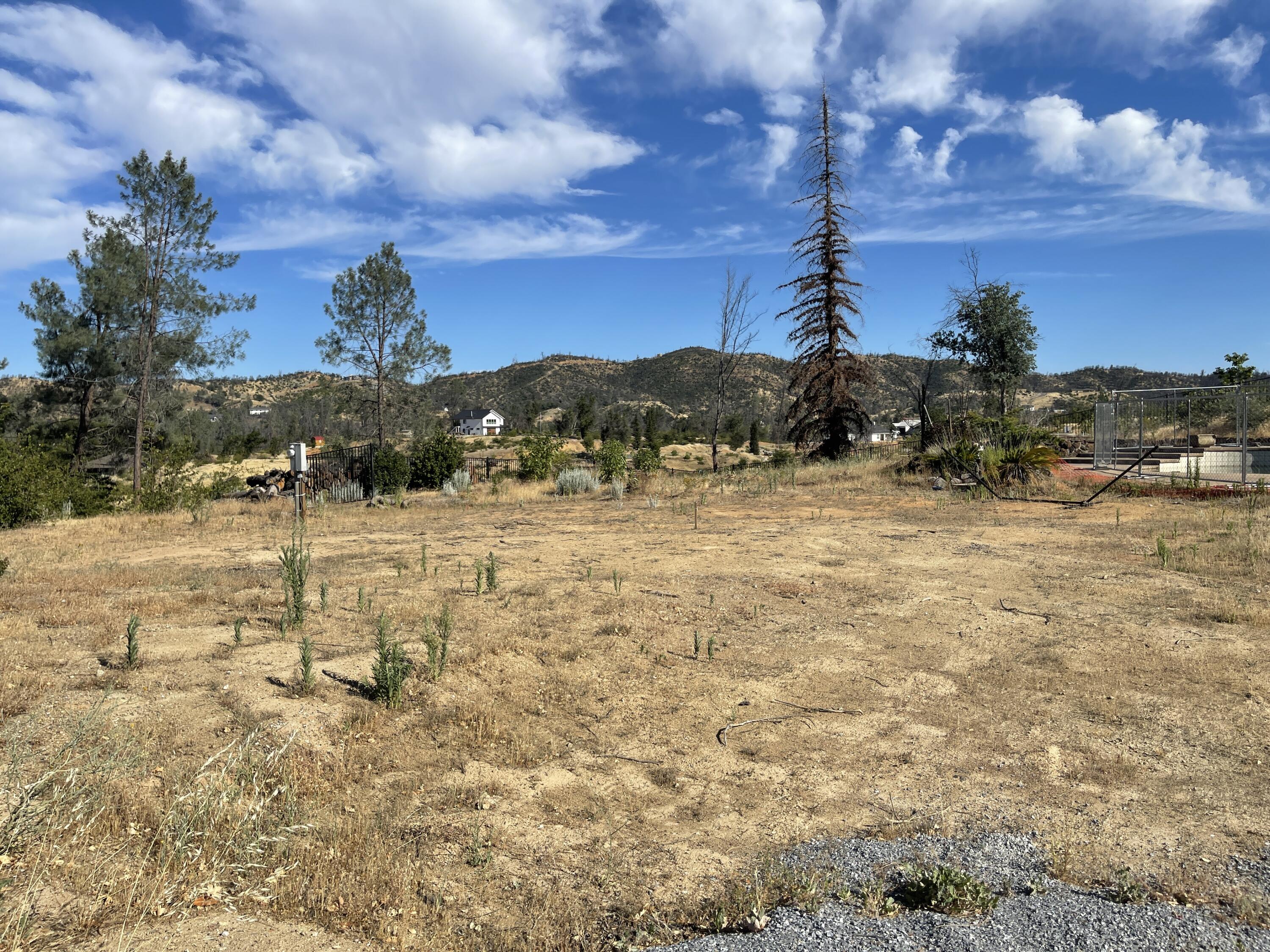 10170 Tilton Mine Road Redding, CA 96001 - Photo 11 of 11 IMG_5788 (1)