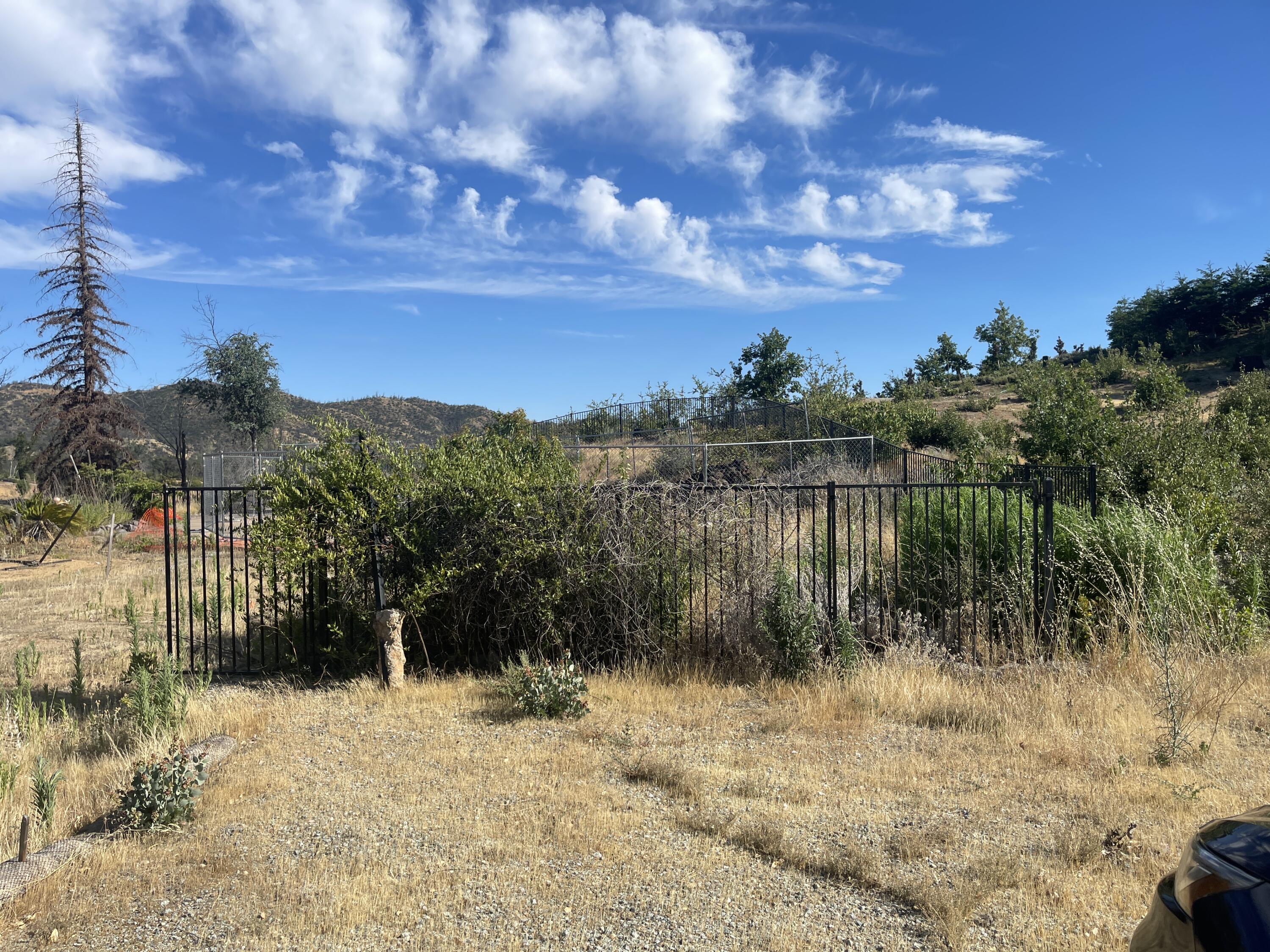 10170 Tilton Mine Road Redding, CA 96001 - Photo 2 of 11 IMG_5781