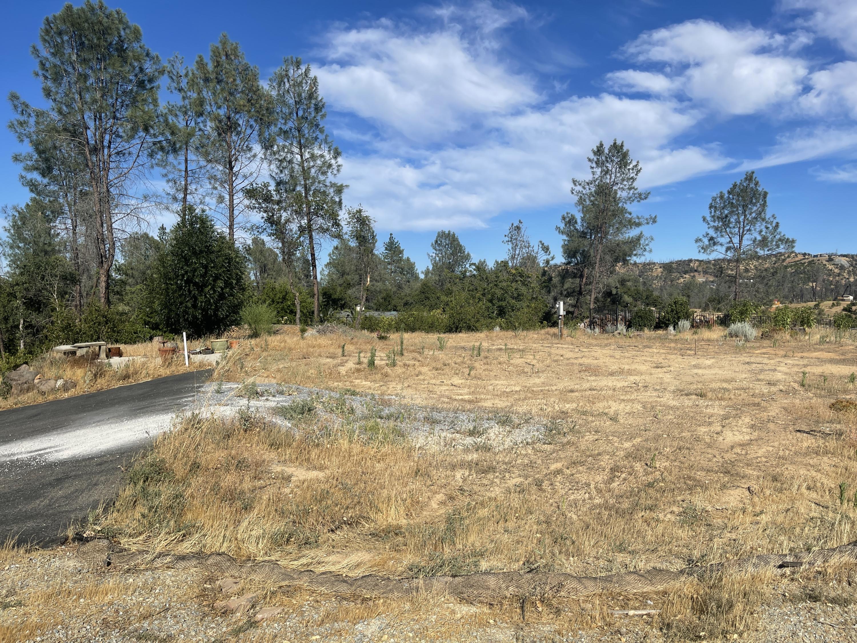 10170 Tilton Mine Road Redding, CA 96001 - Photo 6 of 11 IMG_5780