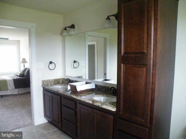 1401 Springhouse Road Sinking Spring, PA 19608 - Photo 7 of 20 Master Bathroom
