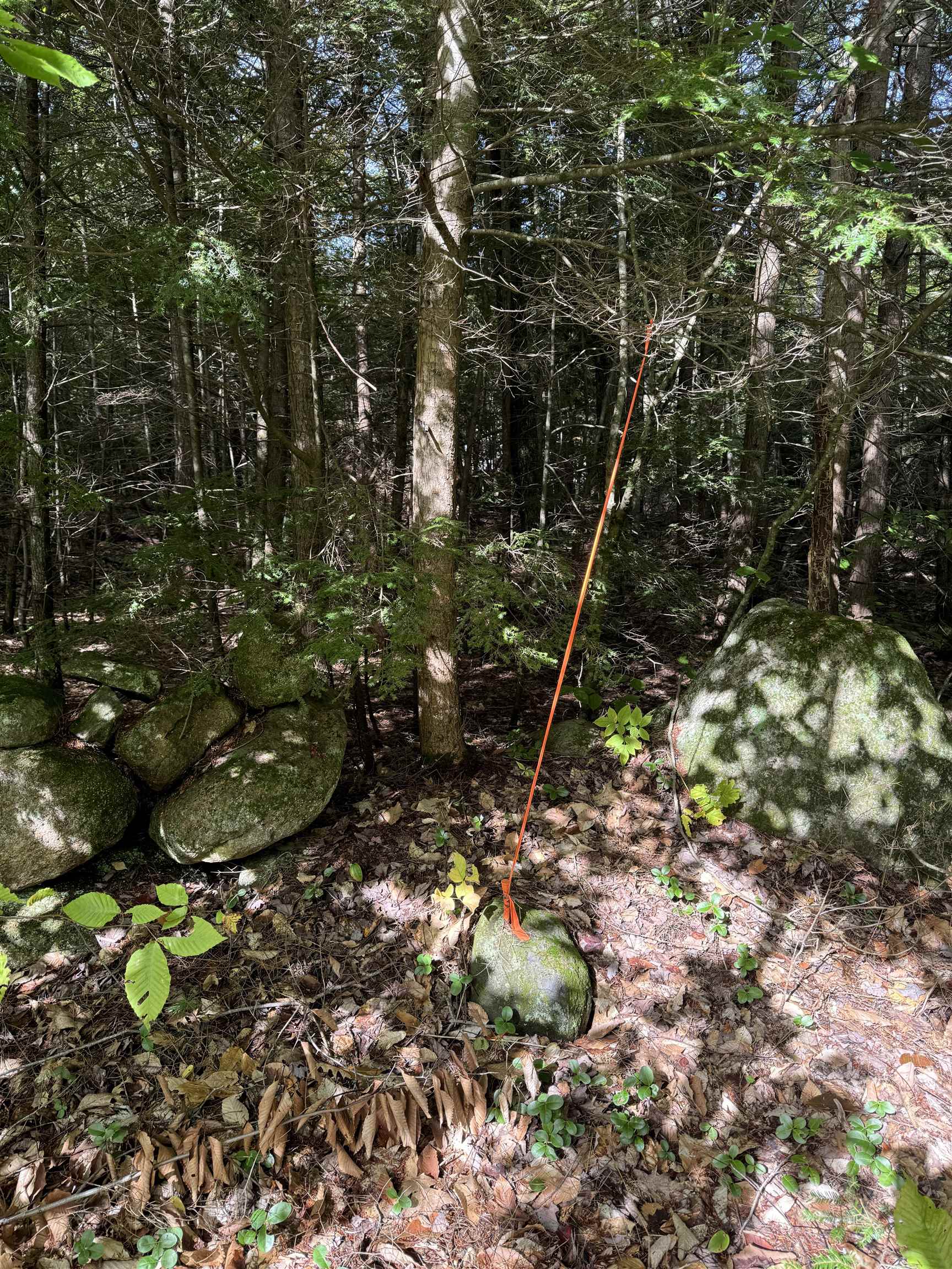 Tbd Middleton Road, Unit 122 Milton, NH 03851 - Photo 12 of 12