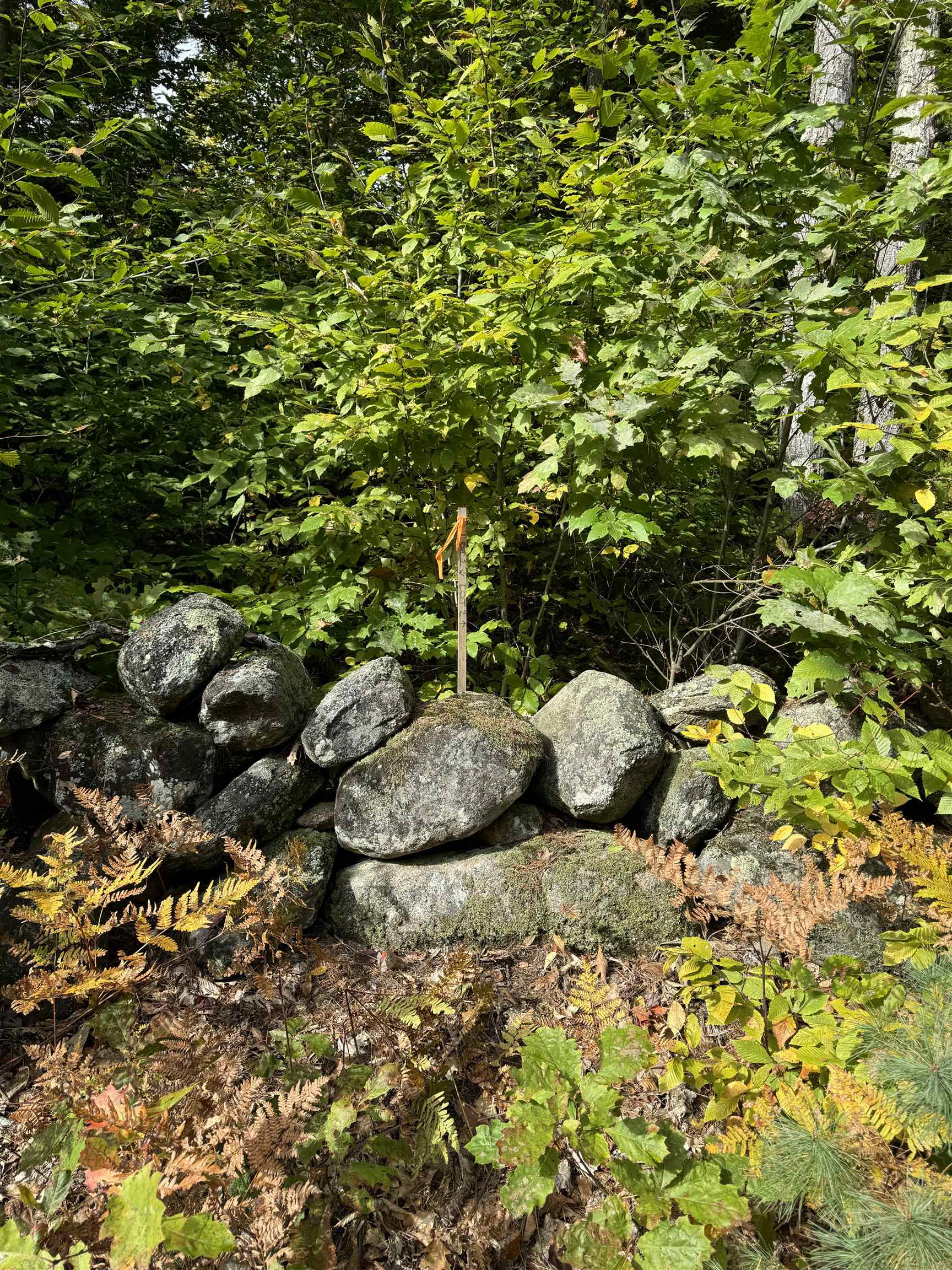 Tbd Middleton Road, Unit 122 Milton, NH 03851 - Photo 10 of 12