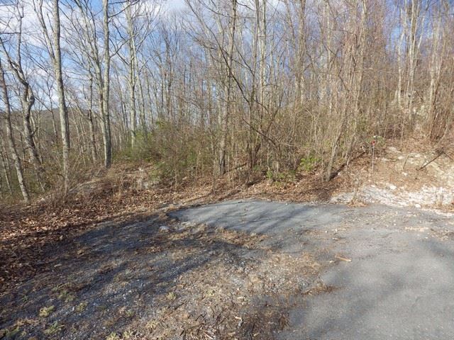 9 Fox Ridge Lane Waynesboro, VA 22980 - Photo 1 of 2 Gallery Image 1