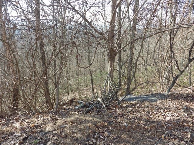 9 Fox Ridge Lane Waynesboro, VA 22980 - Photo 2 of 2 Gallery Image 2