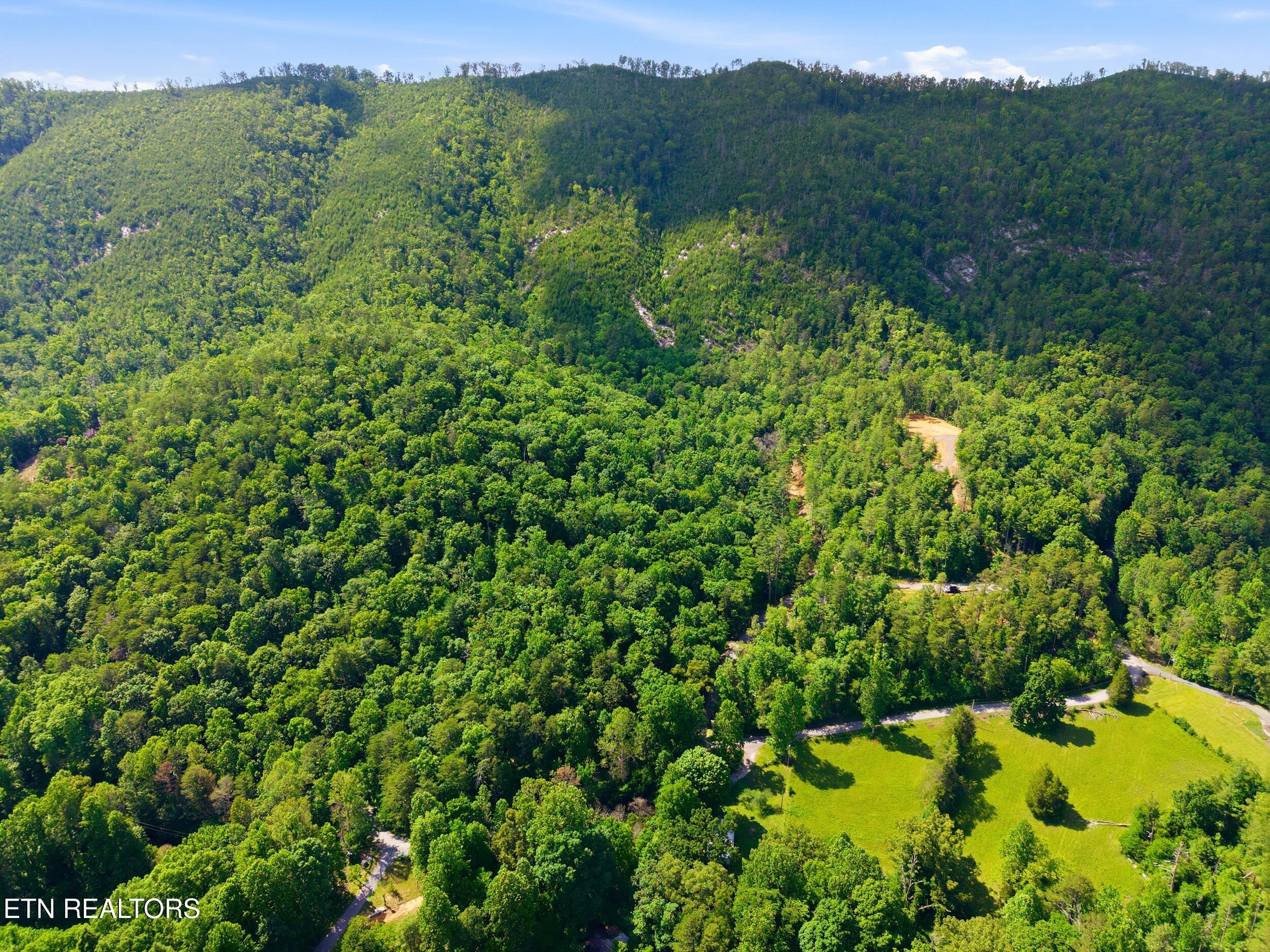 909 The Loop Road Walland, TN 37886 - Photo 11 of 32 2_909_the_loop_rd_0001