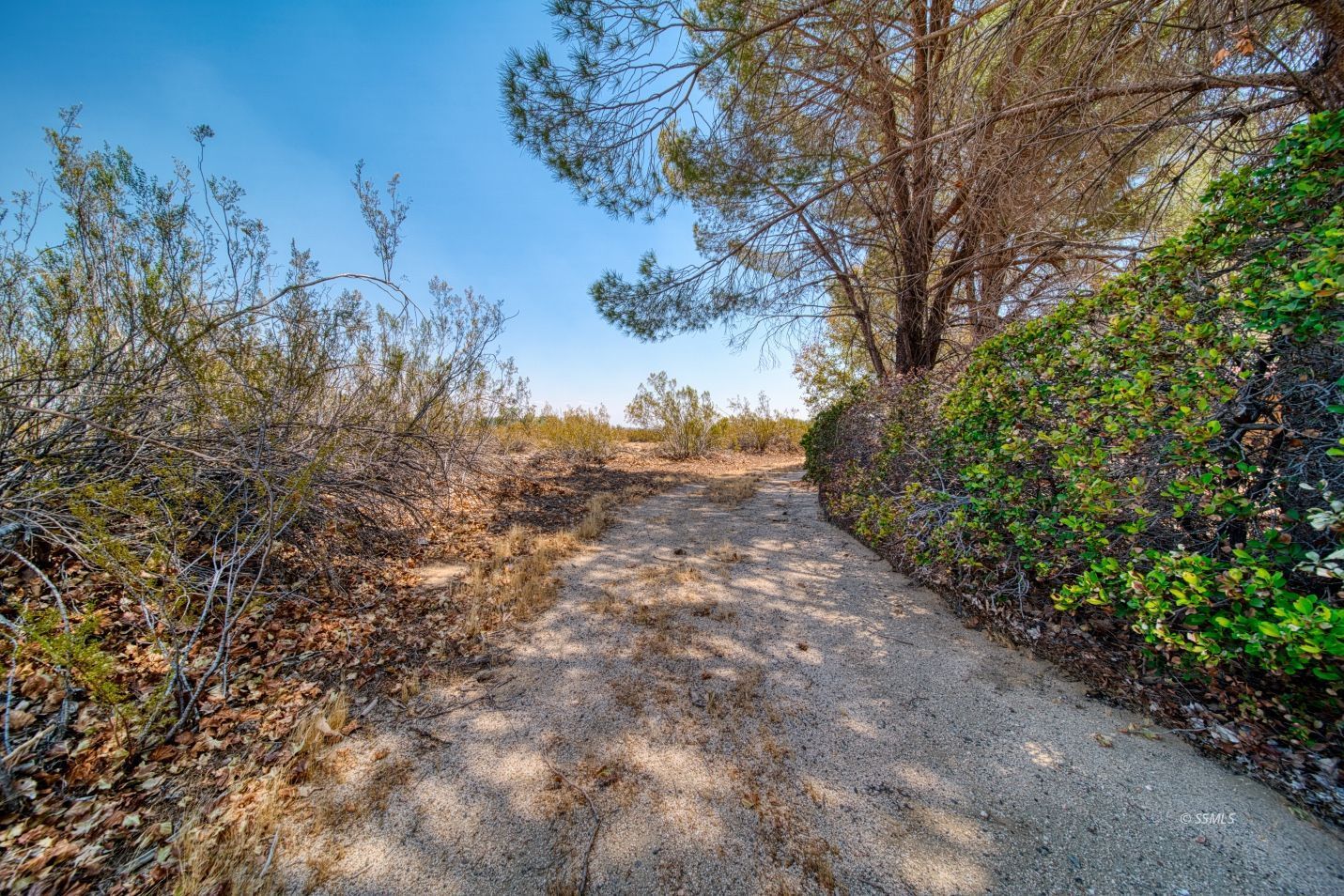 8160 Seibenthal Road Inyokern, CA 93527 - Photo 30 of 40 Gallery Image 30