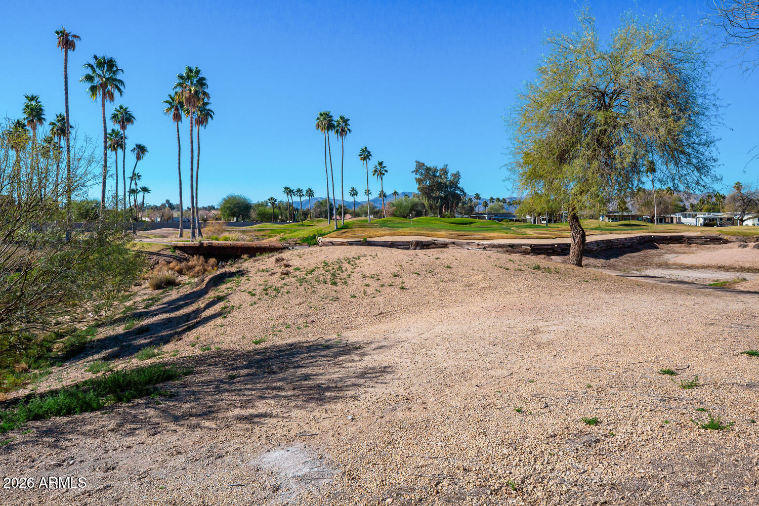 17200 West Bell Road, Unit 1054 Surprise, AZ 85374 - Photo 33 of 46 a view of a park with palm trees
