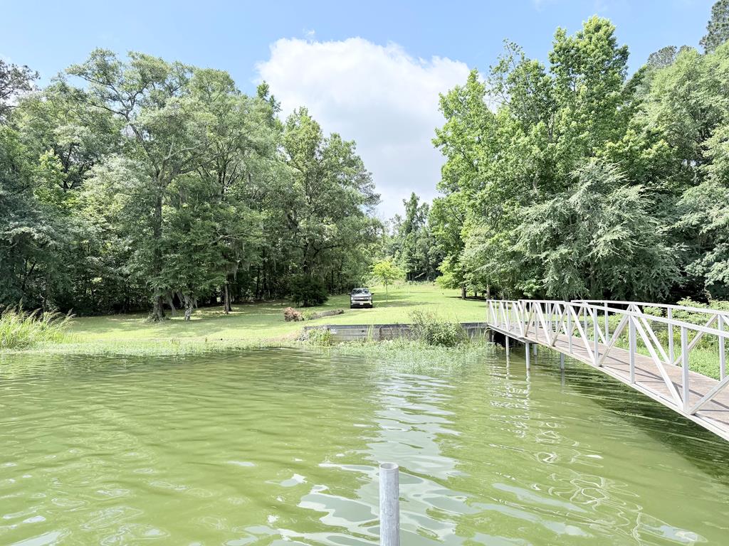 97 County Road 97 Abbeville, AL 36310 - Photo 13 of 15