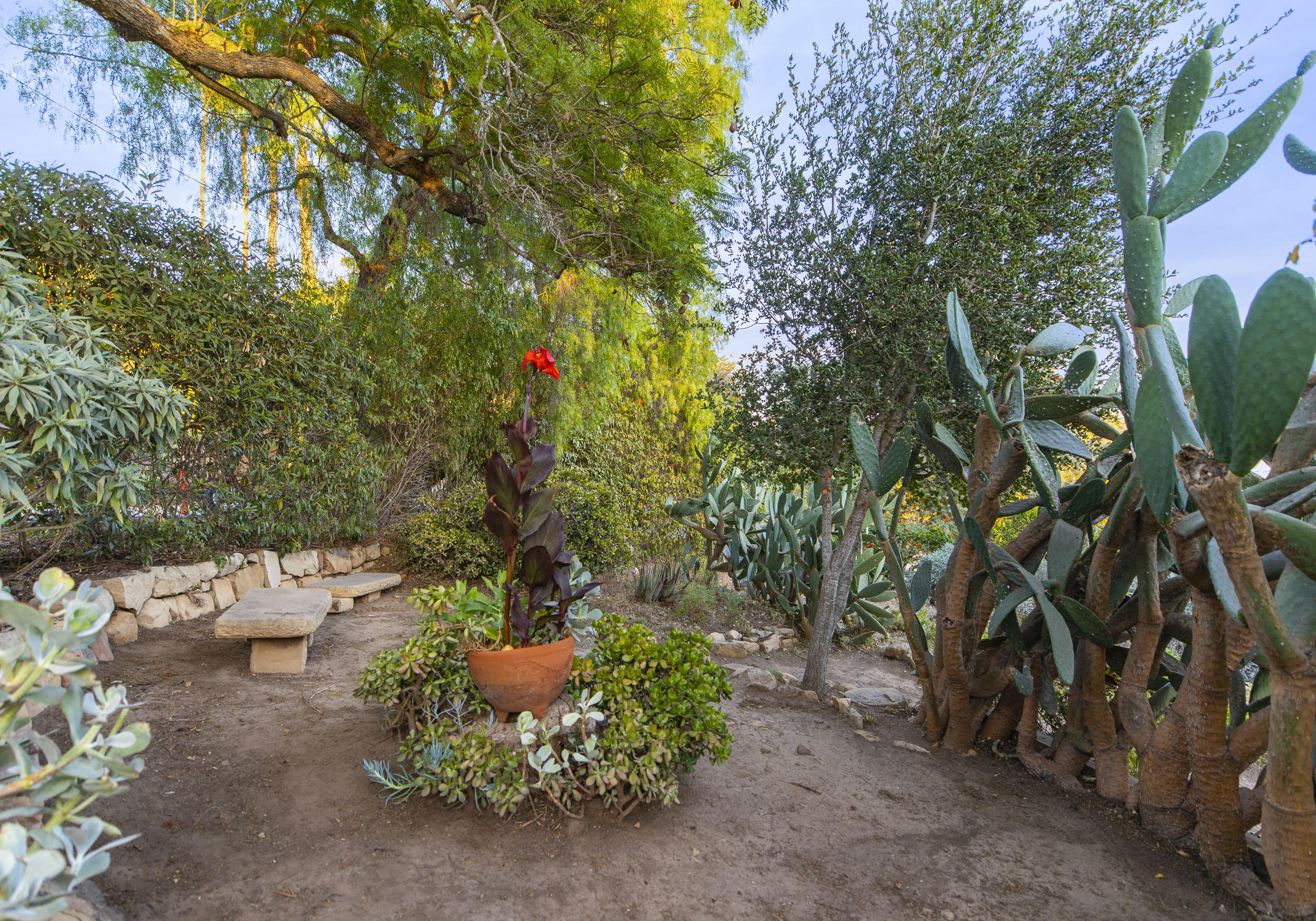 925 Jimeno Road Santa Barbara, CA 93103 - Photo 19 of 26 a backyard of a house with a tree