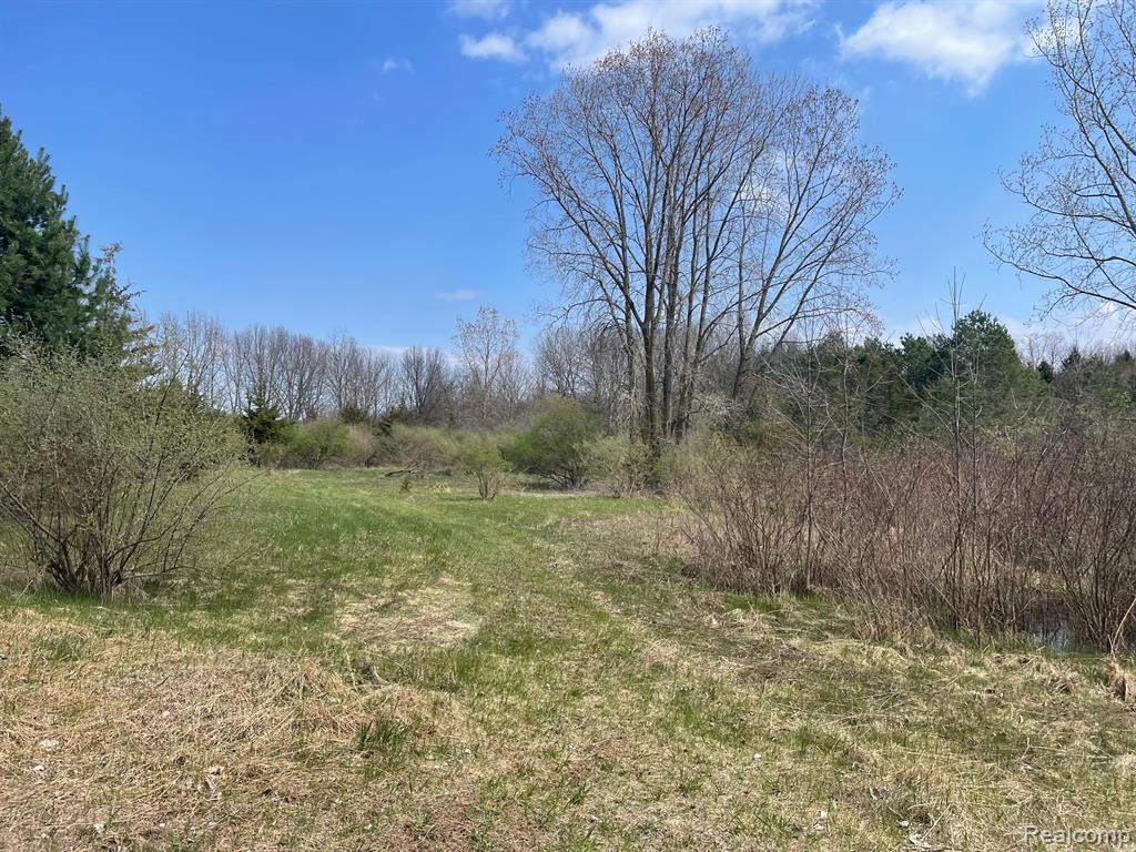 0 White Lake Road Flint, MI 48505 - Photo 7 of 12