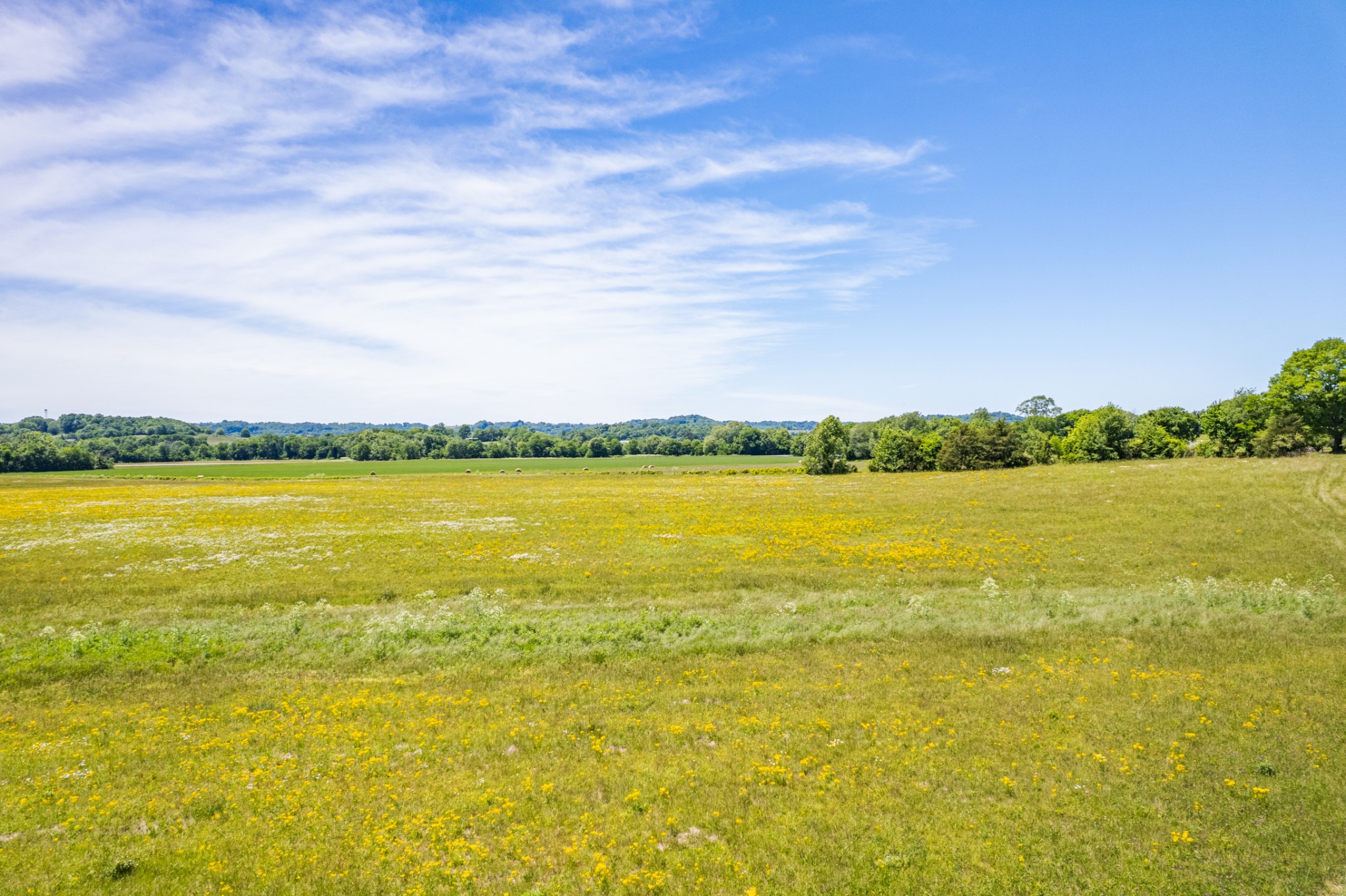 32 Hart Leonard Road Cornersville, TN 37047 - Photo 16 of 58 a view of an ocean and beach