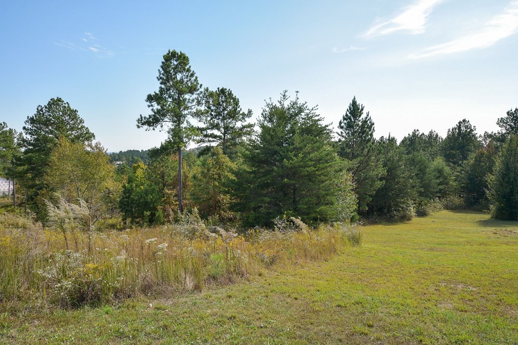 0 Hazelwood Road Dayton, TN 37321 - Photo 4 of 6 Gallery Image 4