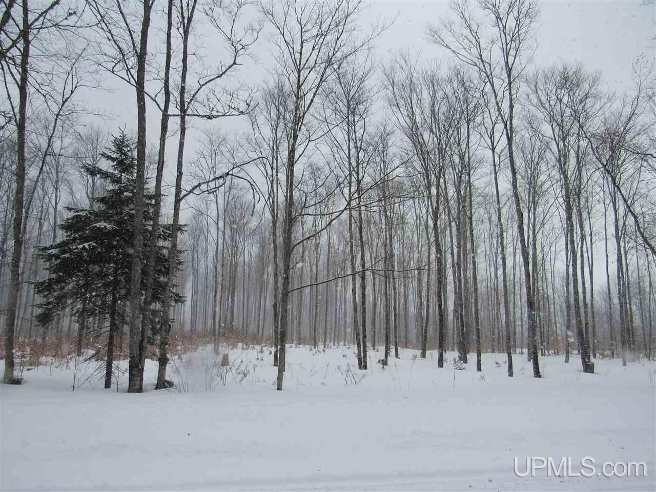 11998 Roy Wright Road Shingleton, MI 49884 - Photo 21 of 36