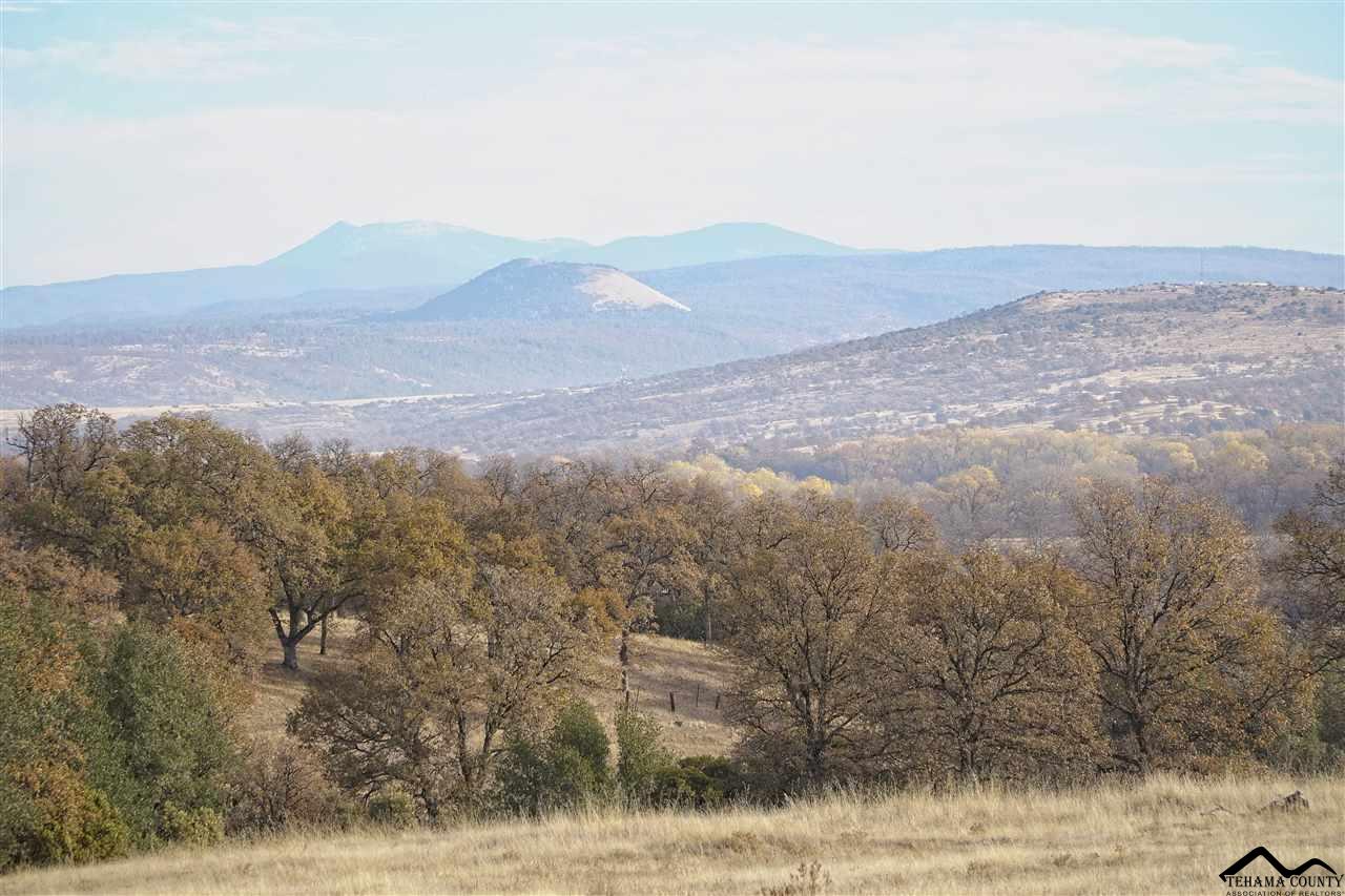 1 Riverview Ranch Road Red Bluff, CA 96080 - Photo 35 of 55 Gallery Image 35