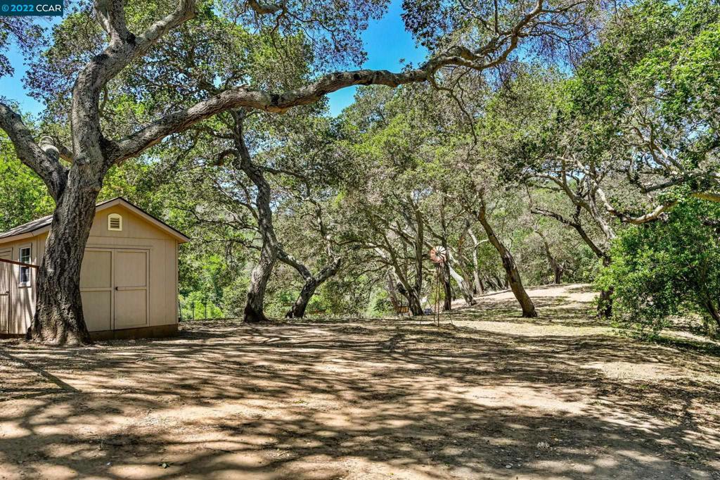 5433-5433 Alhambra Valley Road Martinez, CA 94553 - Photo 44 of 59