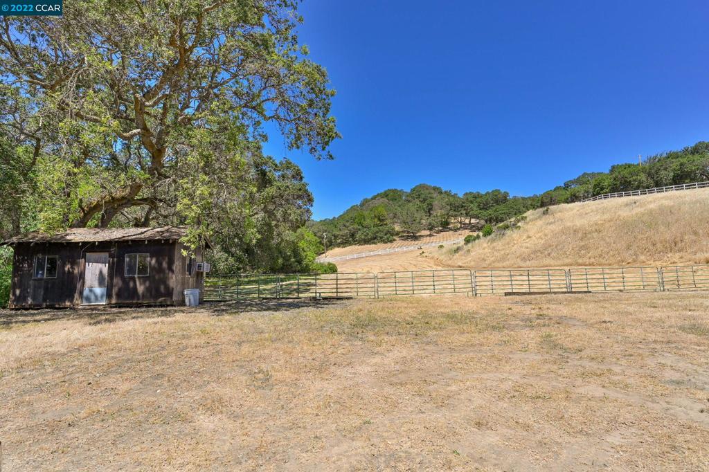 5433-5433 Alhambra Valley Road Martinez, CA 94553 - Photo 50 of 59 Lower pasture