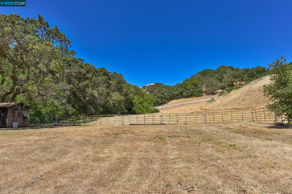 5433-5433 Alhambra Valley Road Martinez, CA 94553 - Photo 51 of 59 Lower Pasture