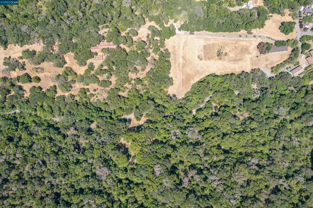 5433-5433 Alhambra Valley Road Martinez, CA 94553 - Photo 59 of 59 Balloon View