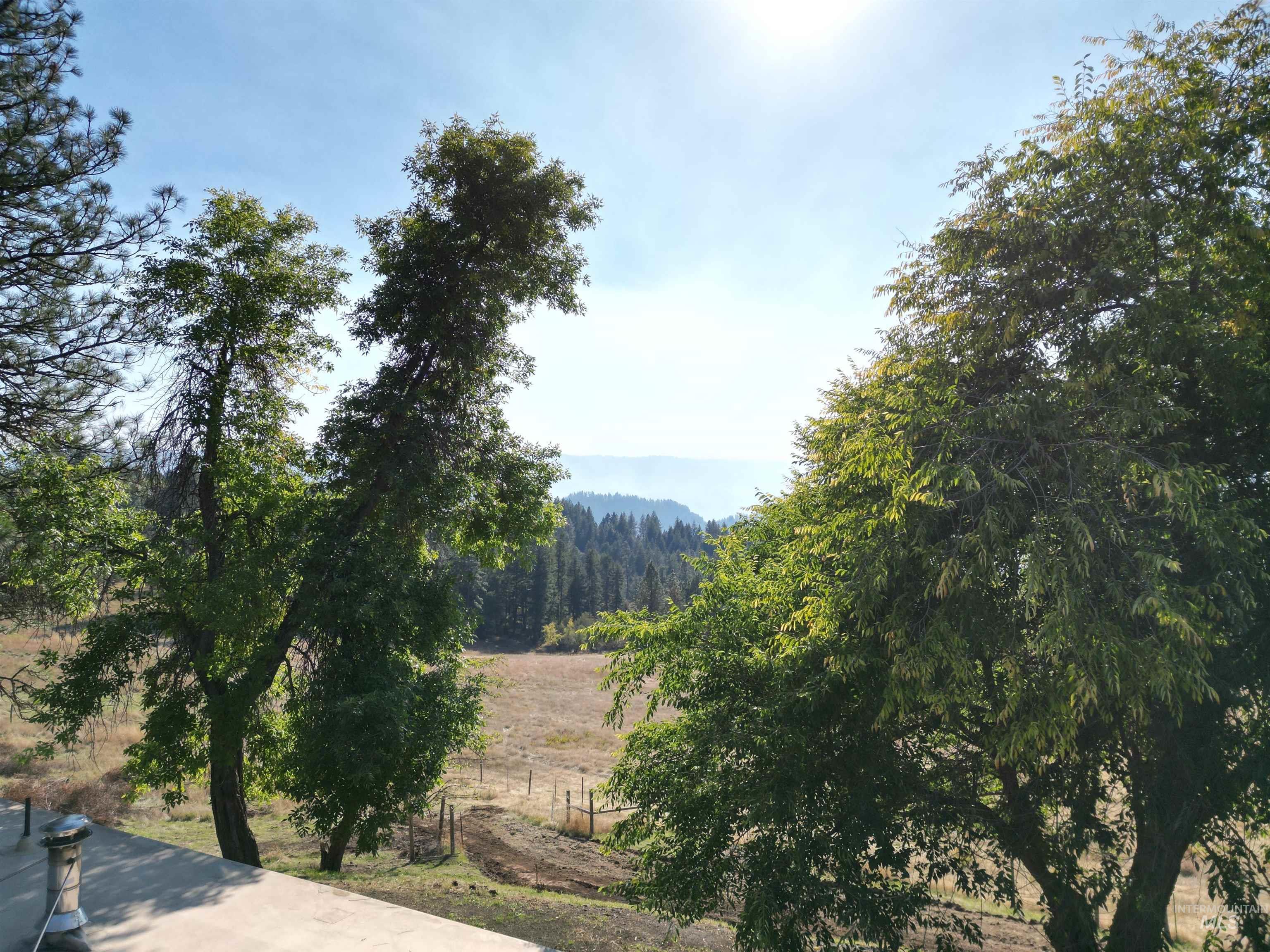 4099 Lakeview Road Orofino, ID 83544 - Photo 30 of 41 Expansive outdoor scenery with dense tree coverage and distant mountains