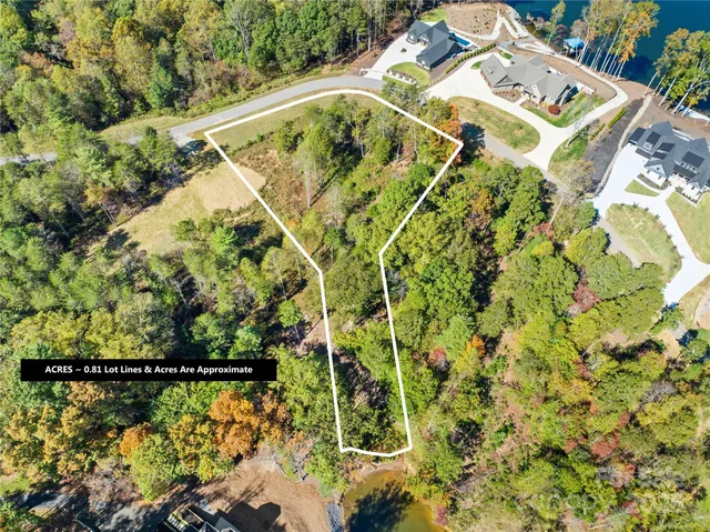 a view of a swimming pool with a yard