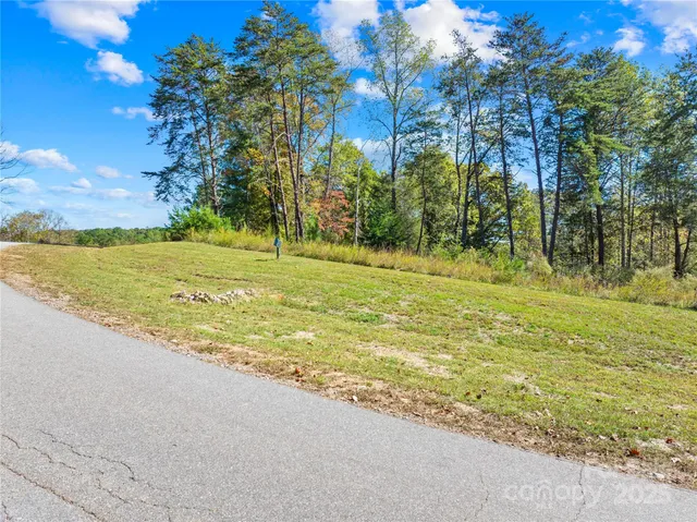a view of a field with an trees