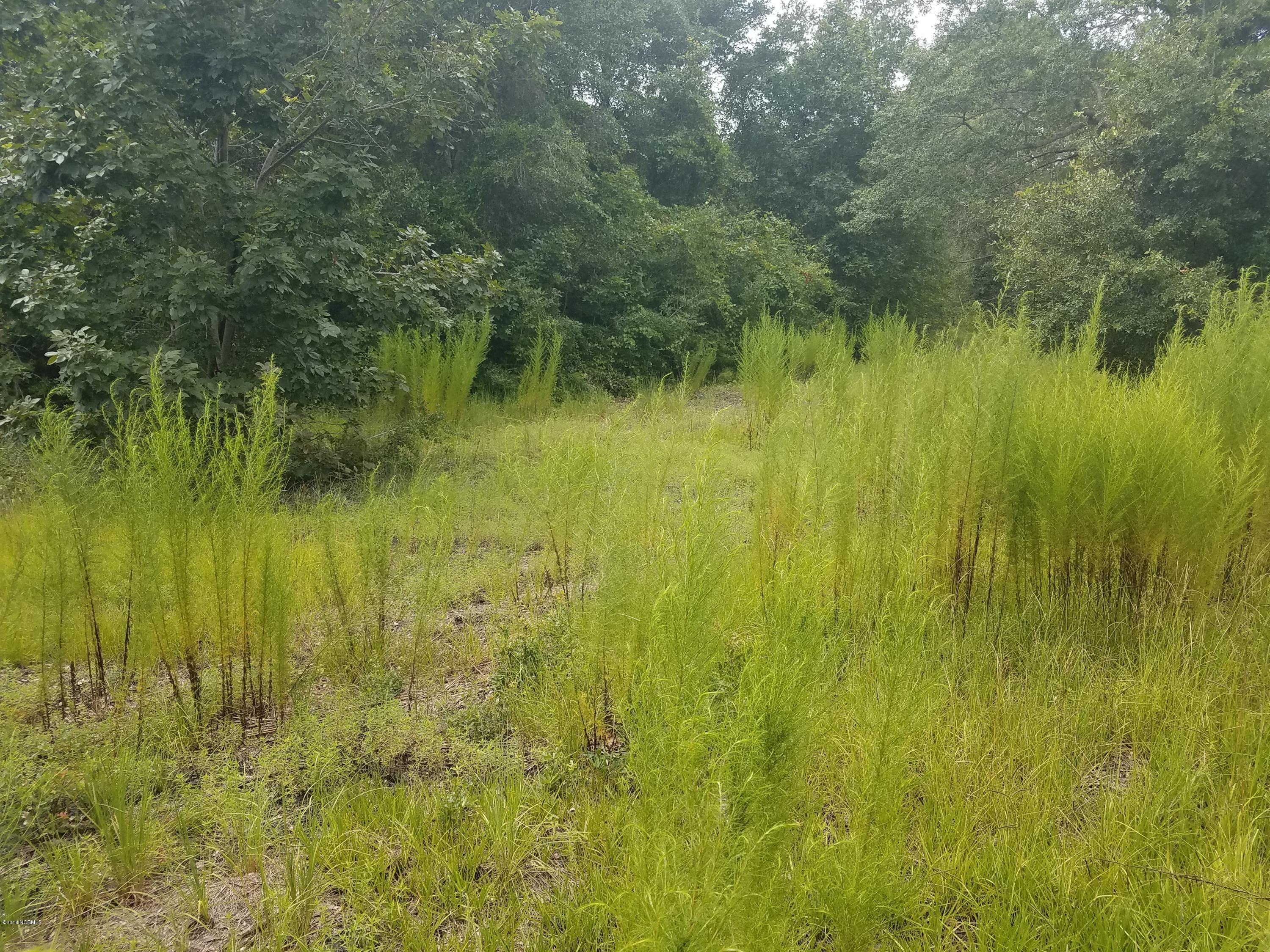 2710 Boones Neck Road Southwest Supply, NC 28462 - Photo 4 of 10 20180730_144707
