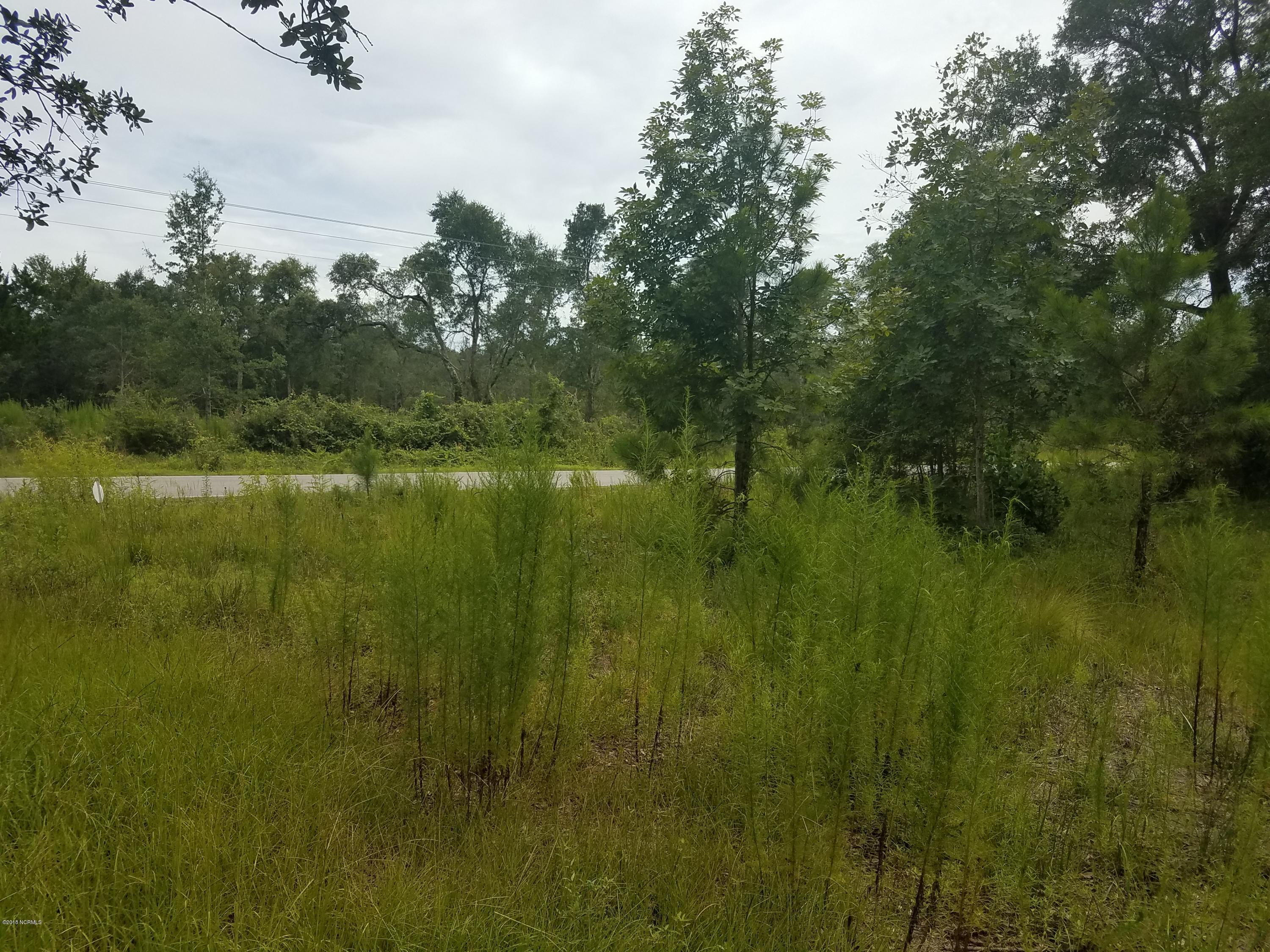 2710 Boones Neck Road Southwest Supply, NC 28462 - Photo 5 of 10 View to entrance