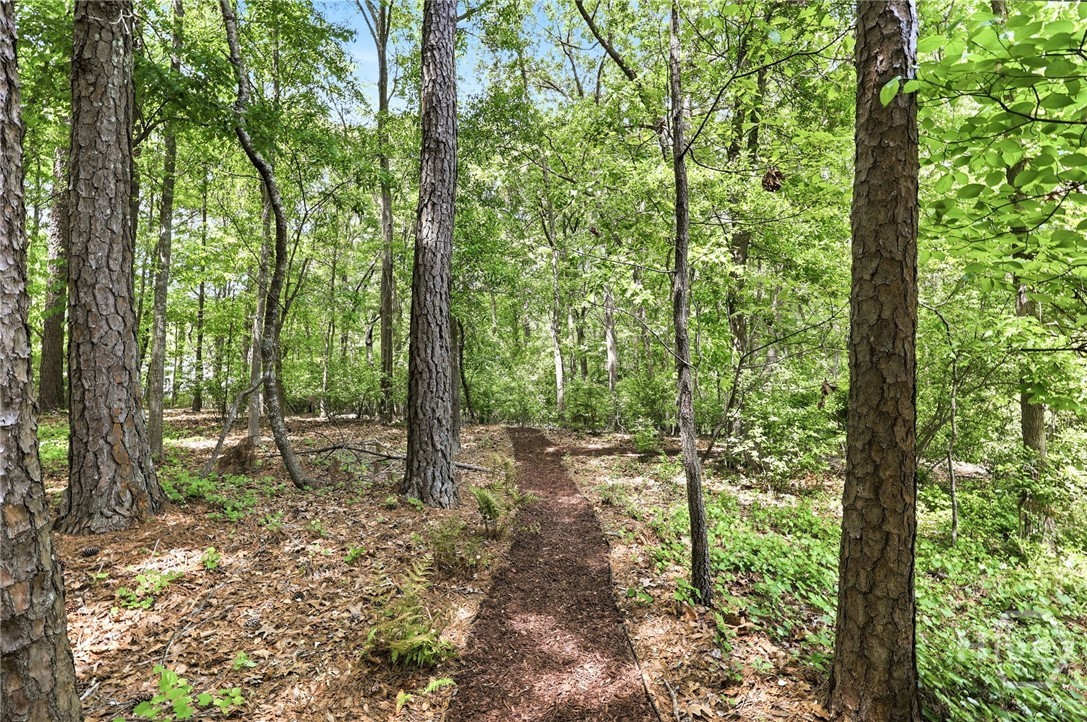 1140 Tangle Drive Athens, GA 30606 - Photo 45 of 58