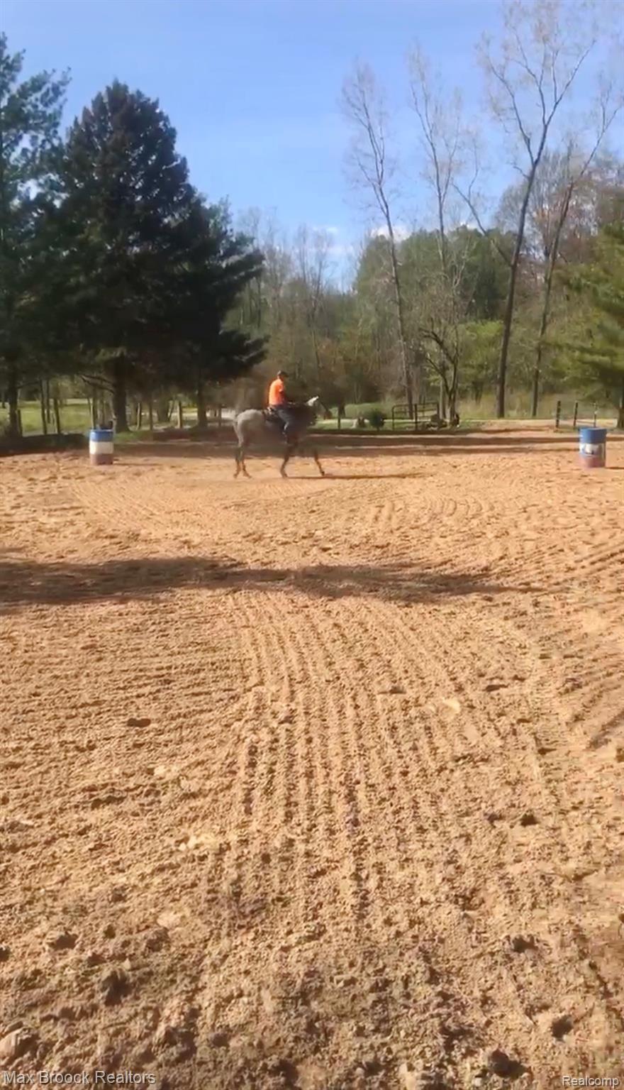 725 Wirbel Road Pinconning, MI 48650 - Photo 4 of 89 outdoor riding arena