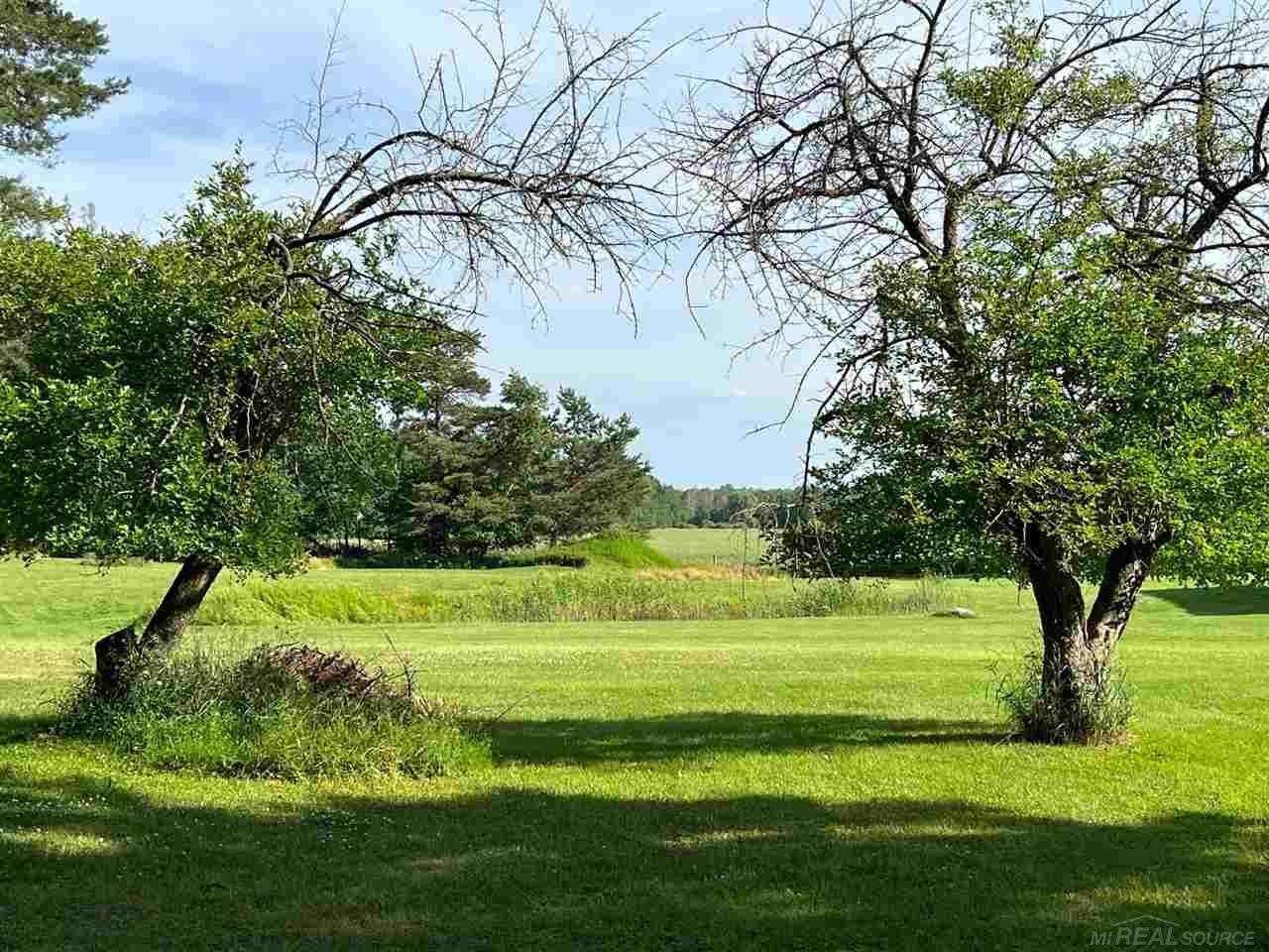 6056 Downington Road Deckerville, MI 48427 - Photo 2 of 9 Gallery Image 2