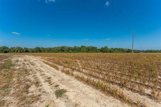 C2 Mcphail Farm Road Florala, AL 36442 - Photo 5 of 17 a view of lake