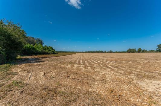 C2 Mcphail Farm Road Florala, AL 36442 - Photo 8 of 17 a view of ocean with green space