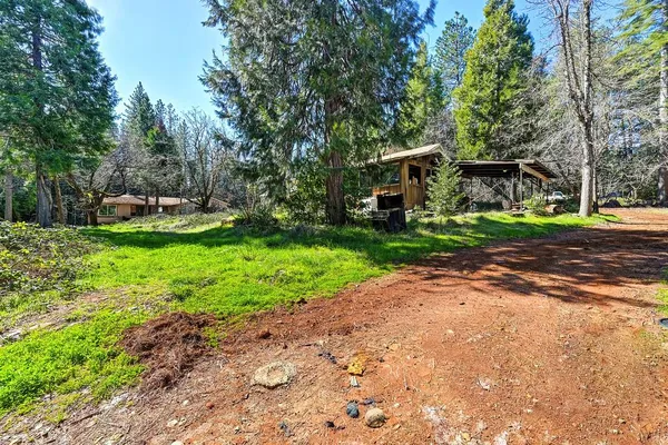 a view of a backyard with large trees