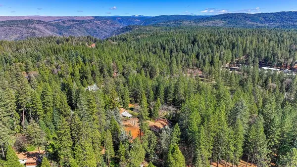 a view of a lush green forest with trees and some houses