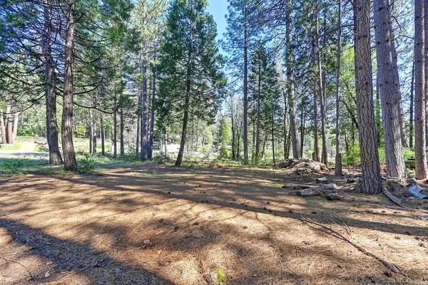 a view of a yard with large trees